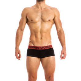 Modus Vivendi X-Lux Boxer men's underwear short male trunk briefs velvet glitter