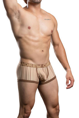 Andrew Christian Almost Naked Dune Stripe Brief