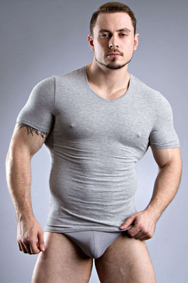 Doreanse 2855 Men's T-shirt Grey Melange