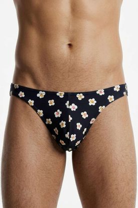 Gauvine Colours of the Planet Brief 2000 - Pop Bloom