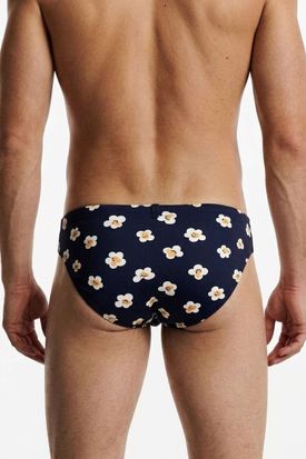 Gauvine Colours of the Planet Brief 2000 - Pop Bloom