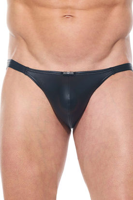 Gregg Homme Afterlight Brief