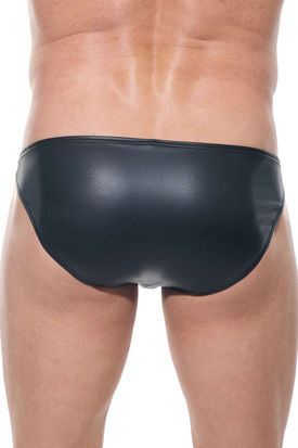 Gregg Homme Afterlight Brief