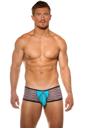 Gregg Homme Bare Boxer Brief