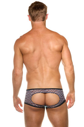 Gregg Homme Bare Boxer Brief