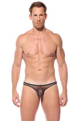 Gregg Homme Dragonfly Brief