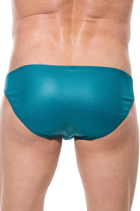 Gregg Homme Golden Hour Brief