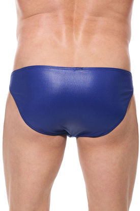 Gregg Homme Golden Hour Brief