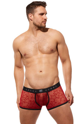 Gregg Homme Starr Boxer Brief