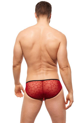 Gregg Homme Starr Brief