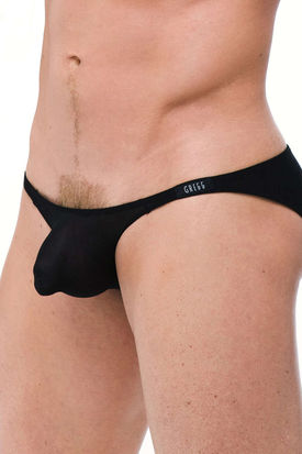 Gregg Homme Torridz Brief
