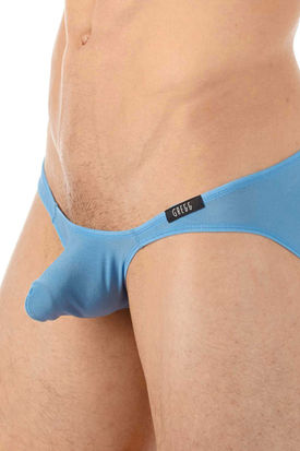Gregg Homme Torridz Brief