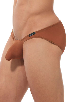 Gregg Homme Torridz Brief