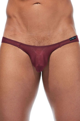 Gregg Homme Torridz Brief