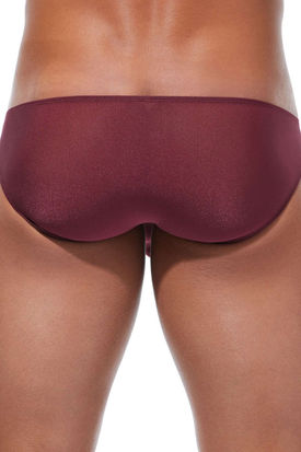 Gregg Homme Torridz Brief