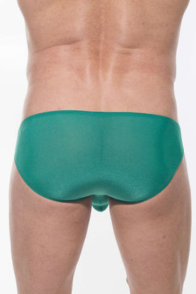 Gregg Homme Torridz Brief