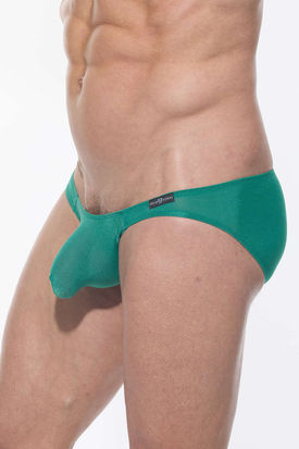 Gregg Homme Torridz Brief