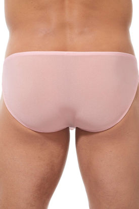Gregg Homme Torridz Brief