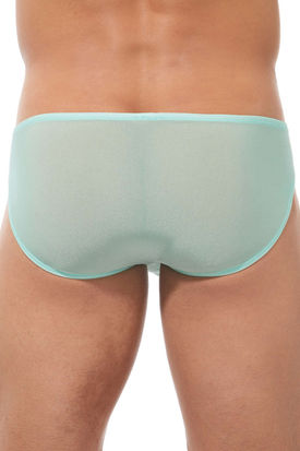 Gregg Homme Torridz Brief