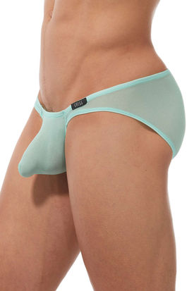Gregg Homme Torridz Brief