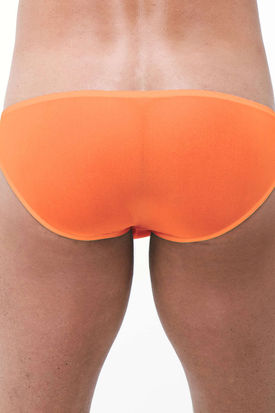 Gregg Homme Torridz Brief