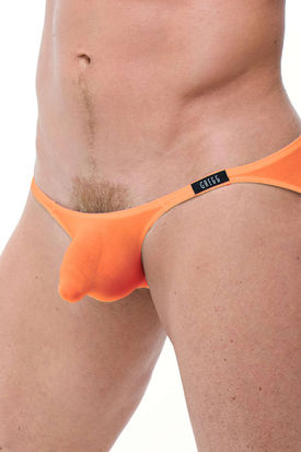 Gregg Homme Torridz Brief