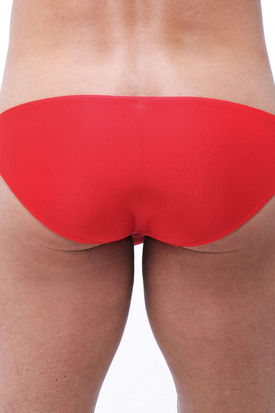 Gregg Homme Torridz Brief