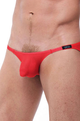 Gregg Homme Torridz Brief