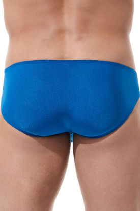 Gregg Homme Torridz Brief
