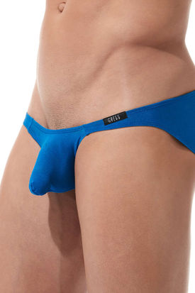 Gregg Homme Torridz Brief