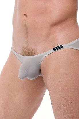 Gregg Homme Torridz Brief