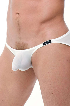 Gregg Homme Torridz Brief