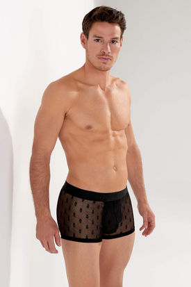 HOM Dark Trunk