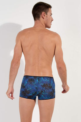 HOM Palay Trunk
