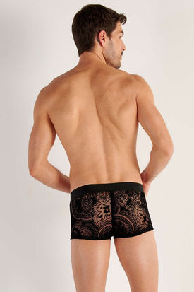 HOM Rhapsody Trunk