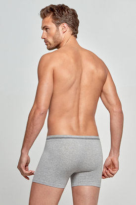 Impetus Cotton Seamless Boxer
