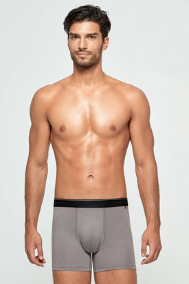 Impetus Travel Premium Boxer Grey