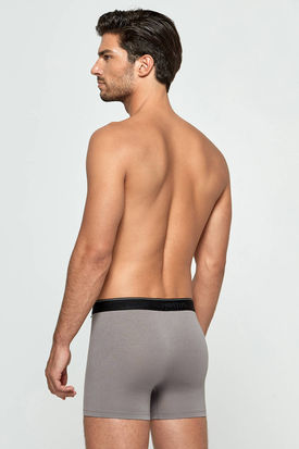 Impetus Travel Premium Boxer Grey