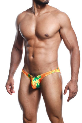 Joe Snyder Shining Bikini Bulge 04 Ltd Edition