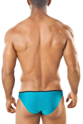 Joe Snyder Shining Pride Frame Bikini 01