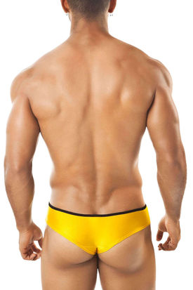 Joe Snyder Shining Pride Frame Mini Cheek Boxer 05