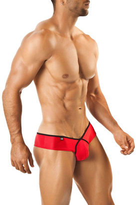 Joe Snyder Shining Pride Frame Mini Cheek Boxer 05