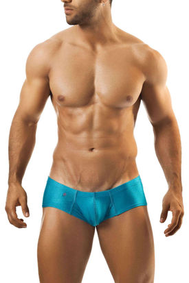 Joe Snyder Shining Cheek Boxer 13 
