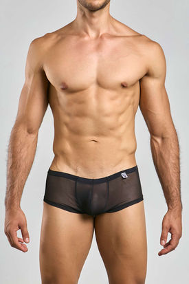 Malebasics MOB Sheer Hip Brief