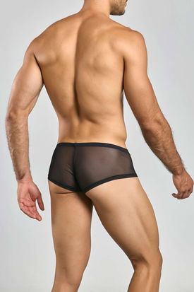 Malebasics MOB Sheer Hip Brief