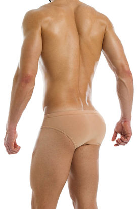 Modus Vivendi Anti-Bacterial Brief