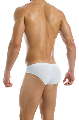 Modus Vivendi Anti-Bacterial Brief