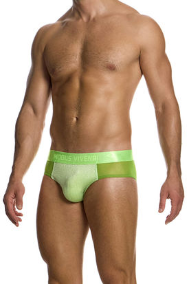 Modus Vivendi Delusion Classic Brief