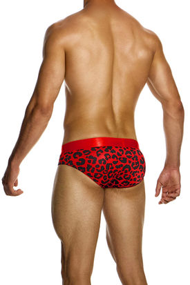 Modus Vivendi Classic Brief