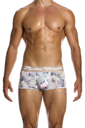 Modus Vivendi Romance Boxer Brief
